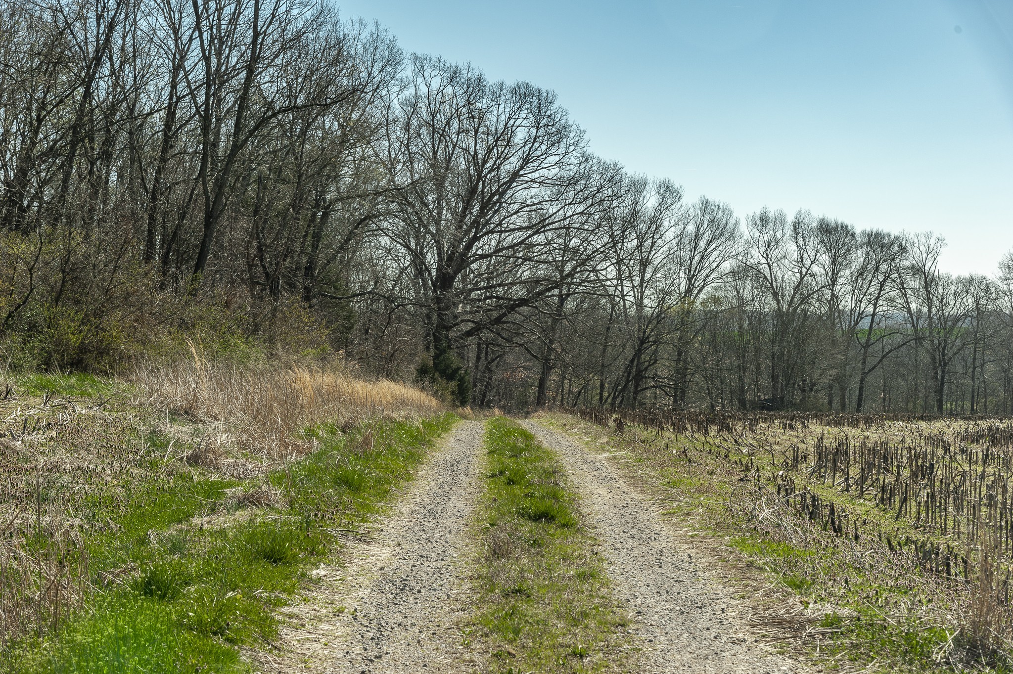 0 52 Highway E Lots