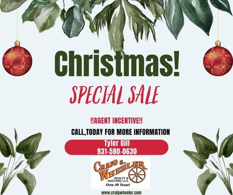 1101 McDonald St Fayetteville TN 37334