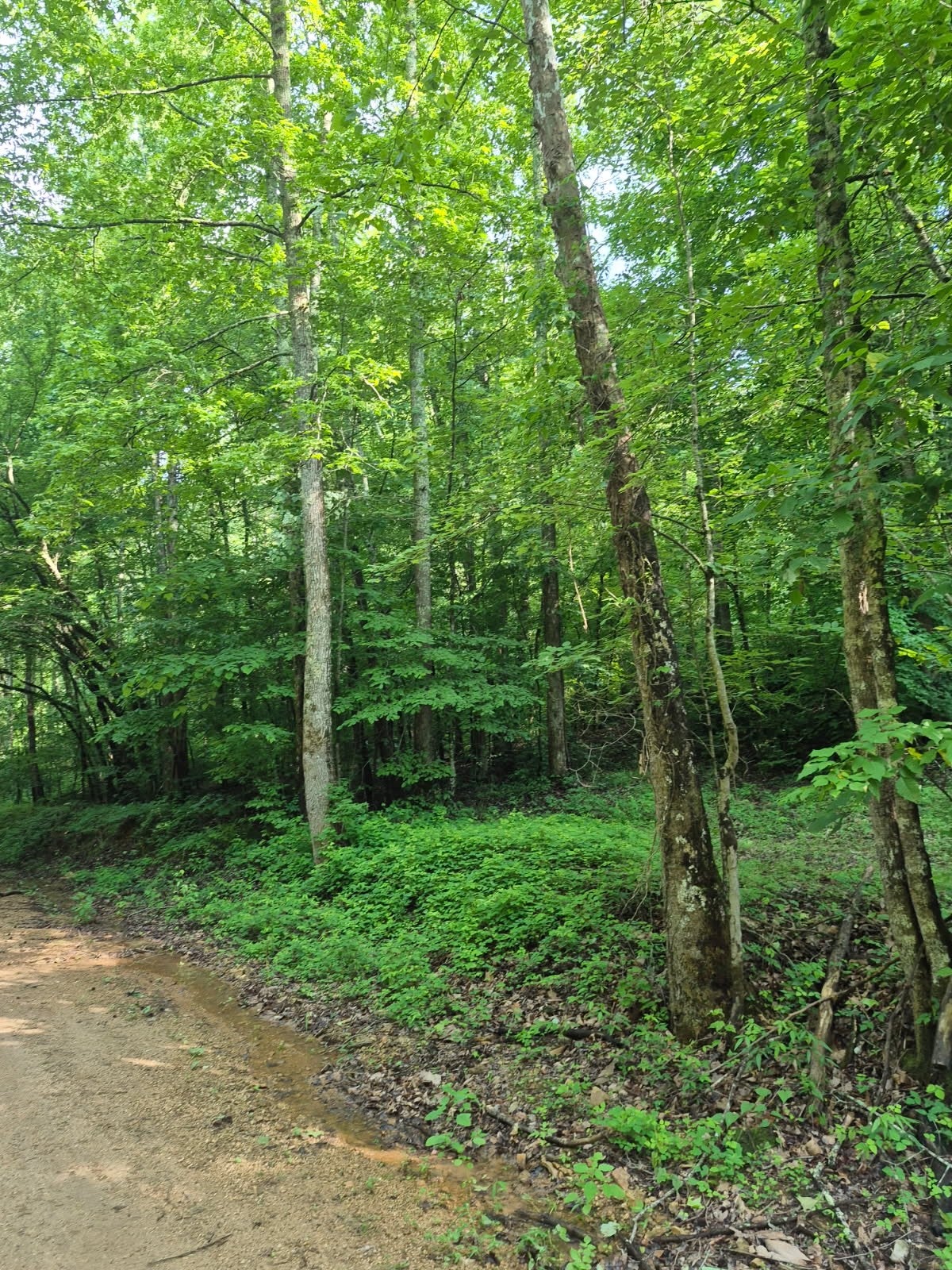 0 Co Rd 462
