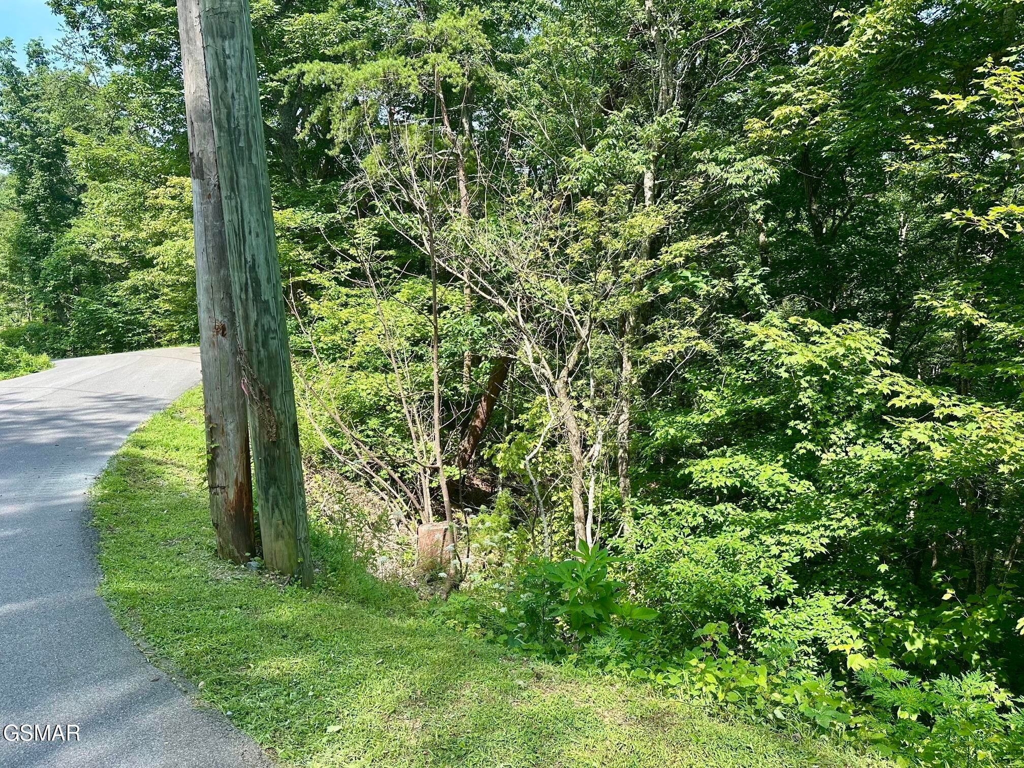 0 Dogwood Drive