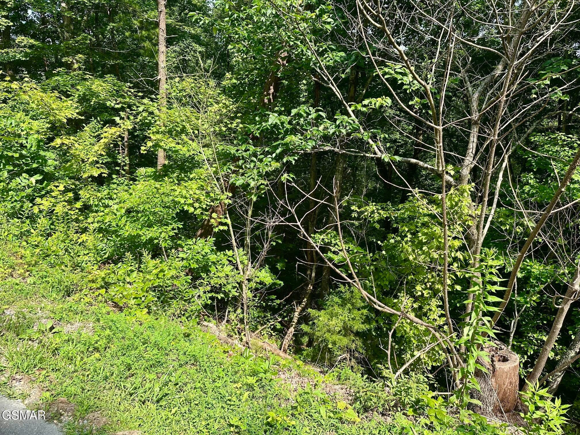 0 Dogwood Drive