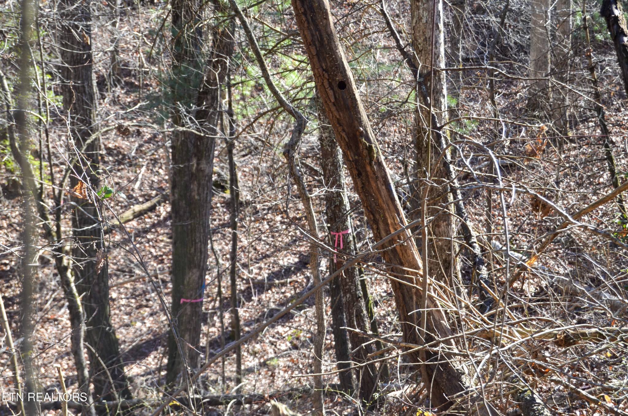 0 Sparta Hwy 31.65 +/- Acres