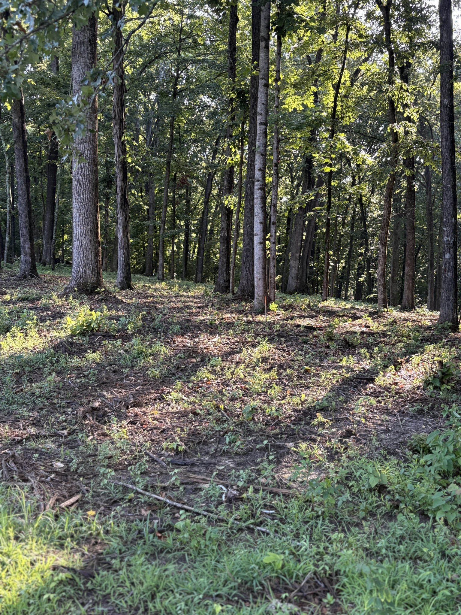 0 Iron Hill Road