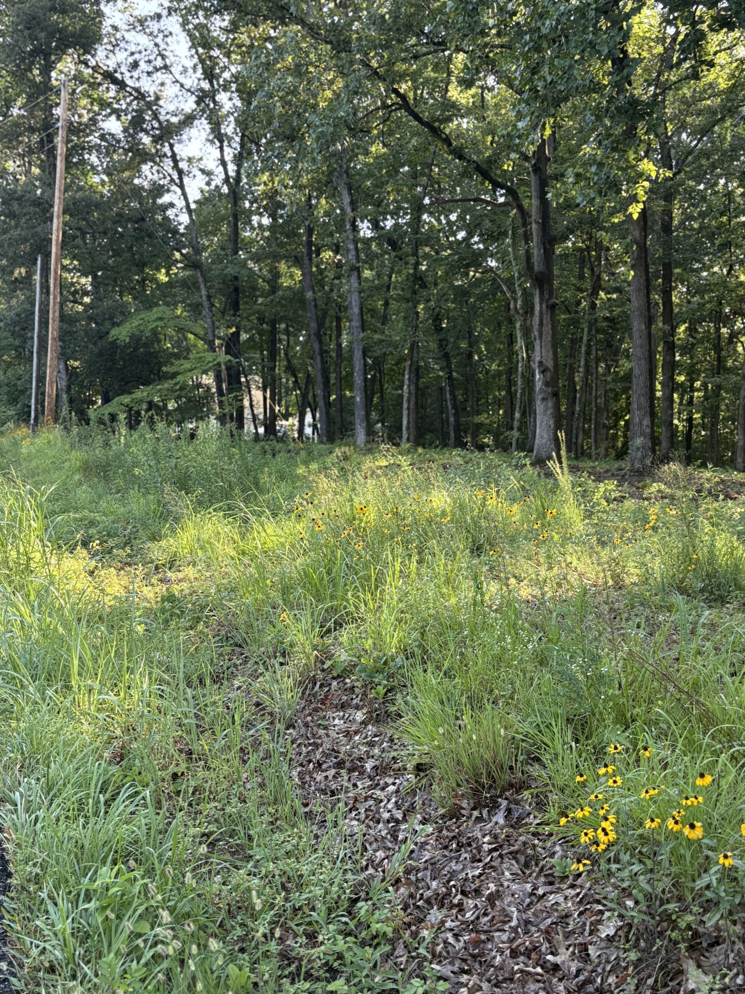 0 Iron Hill Road