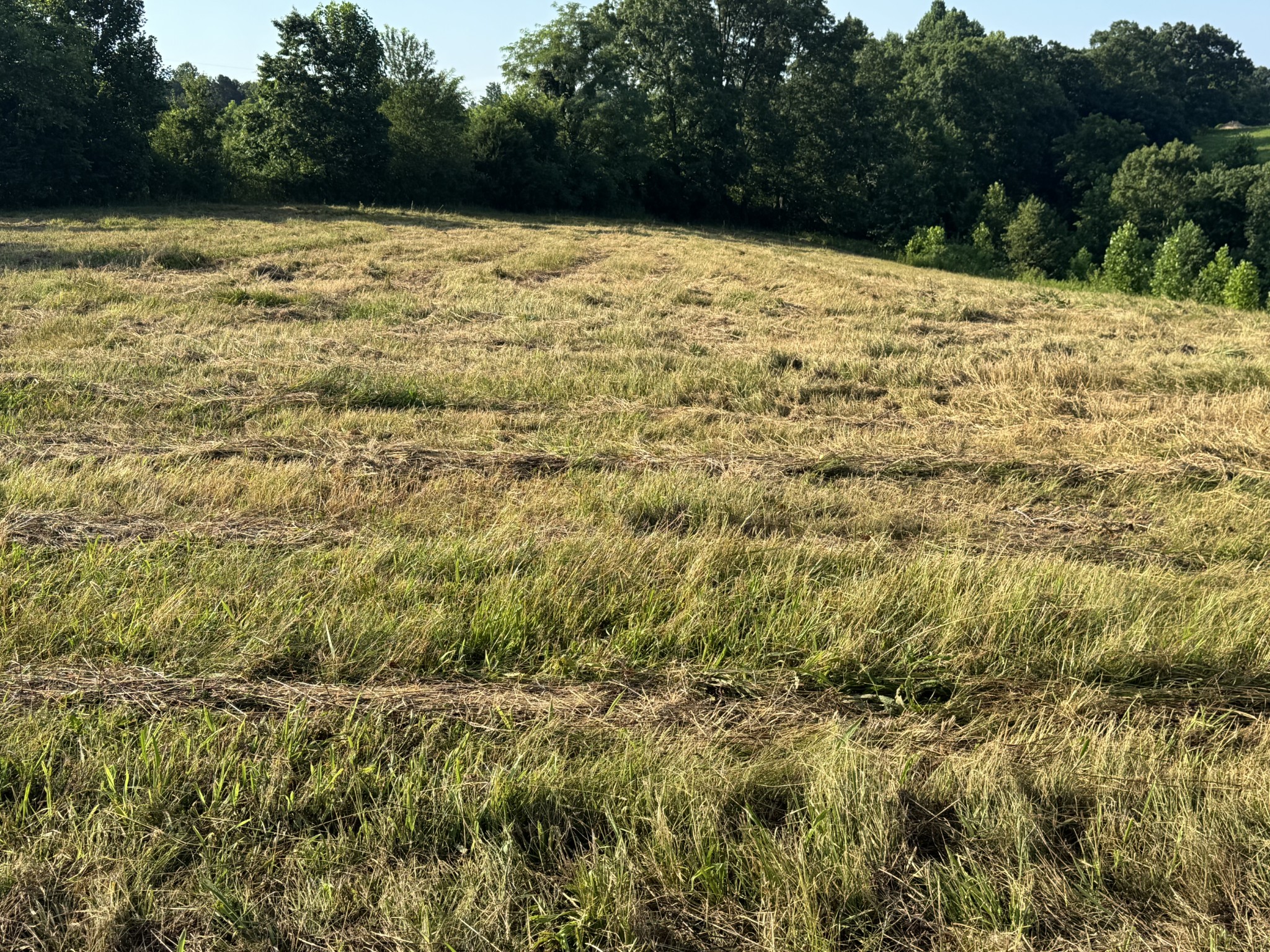 3021 Pea Ridge Rd