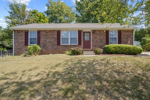 Photo of 711 Green Valley Ct, Clarksville, TN 37042 (MLS # 3066478)