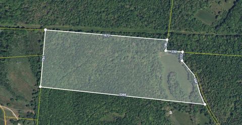 0 Flag Springs Rd Lynnville TN 38472