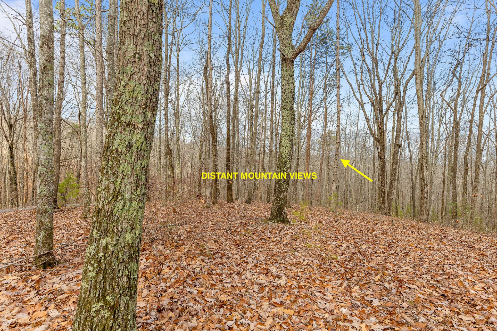 0 Lookout Crest Lane