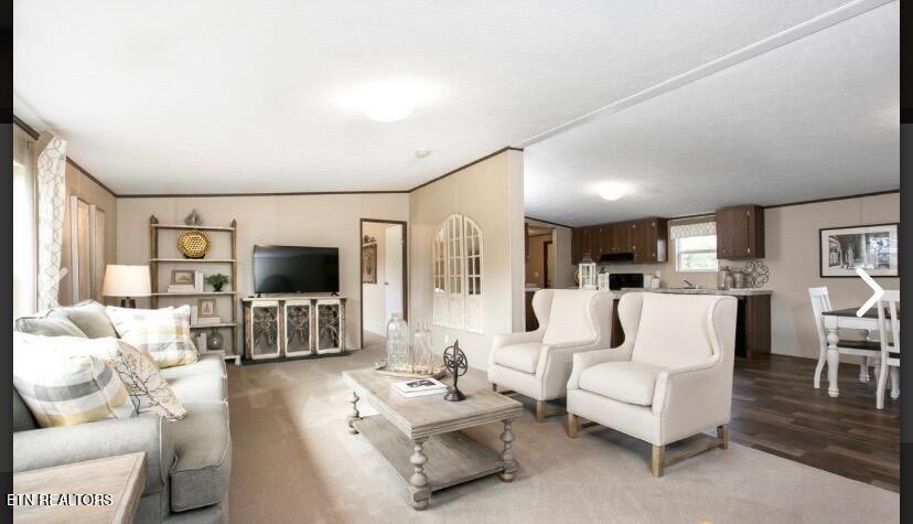 130 Dripping Springs Court