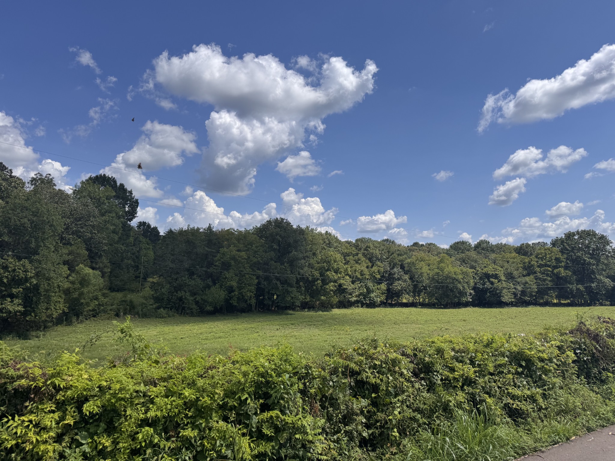 0 Fuss Hollow