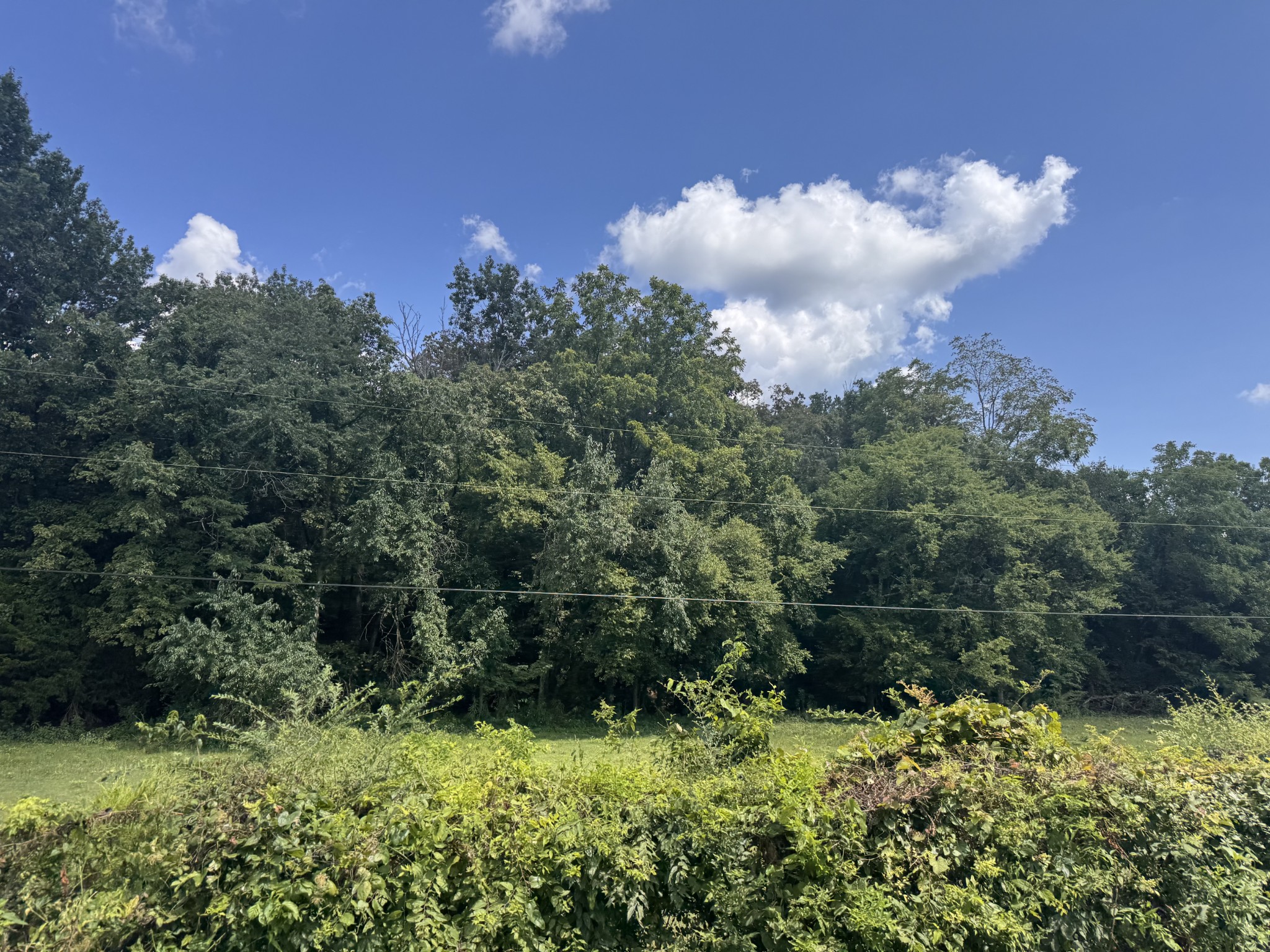 0 Fuss Hollow