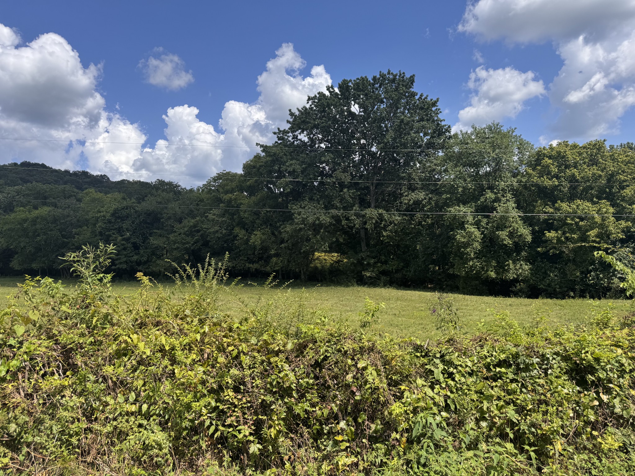 0 Fuss Hollow