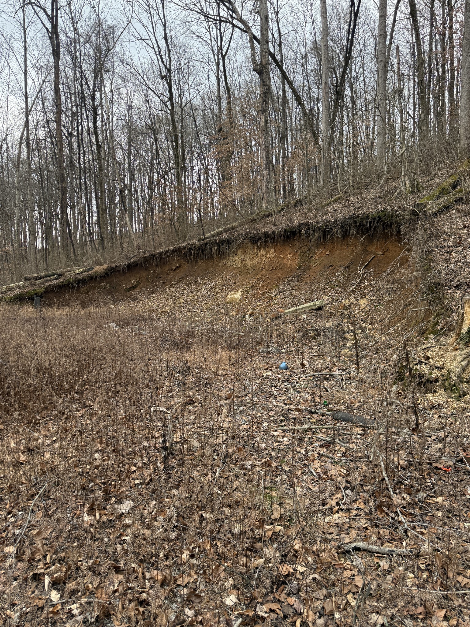 1843D Garrison Branch Rd