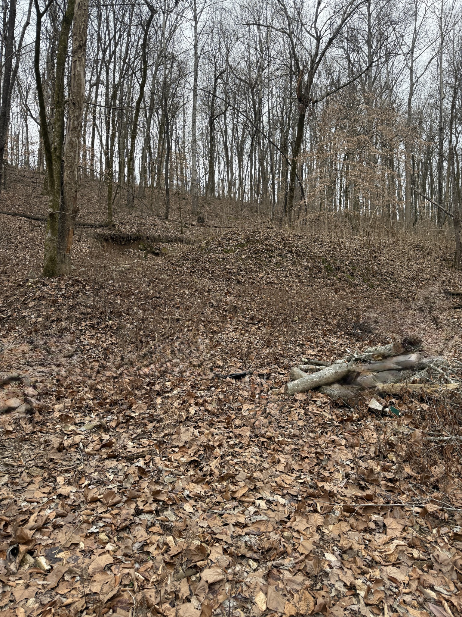 1843D Garrison Branch Rd