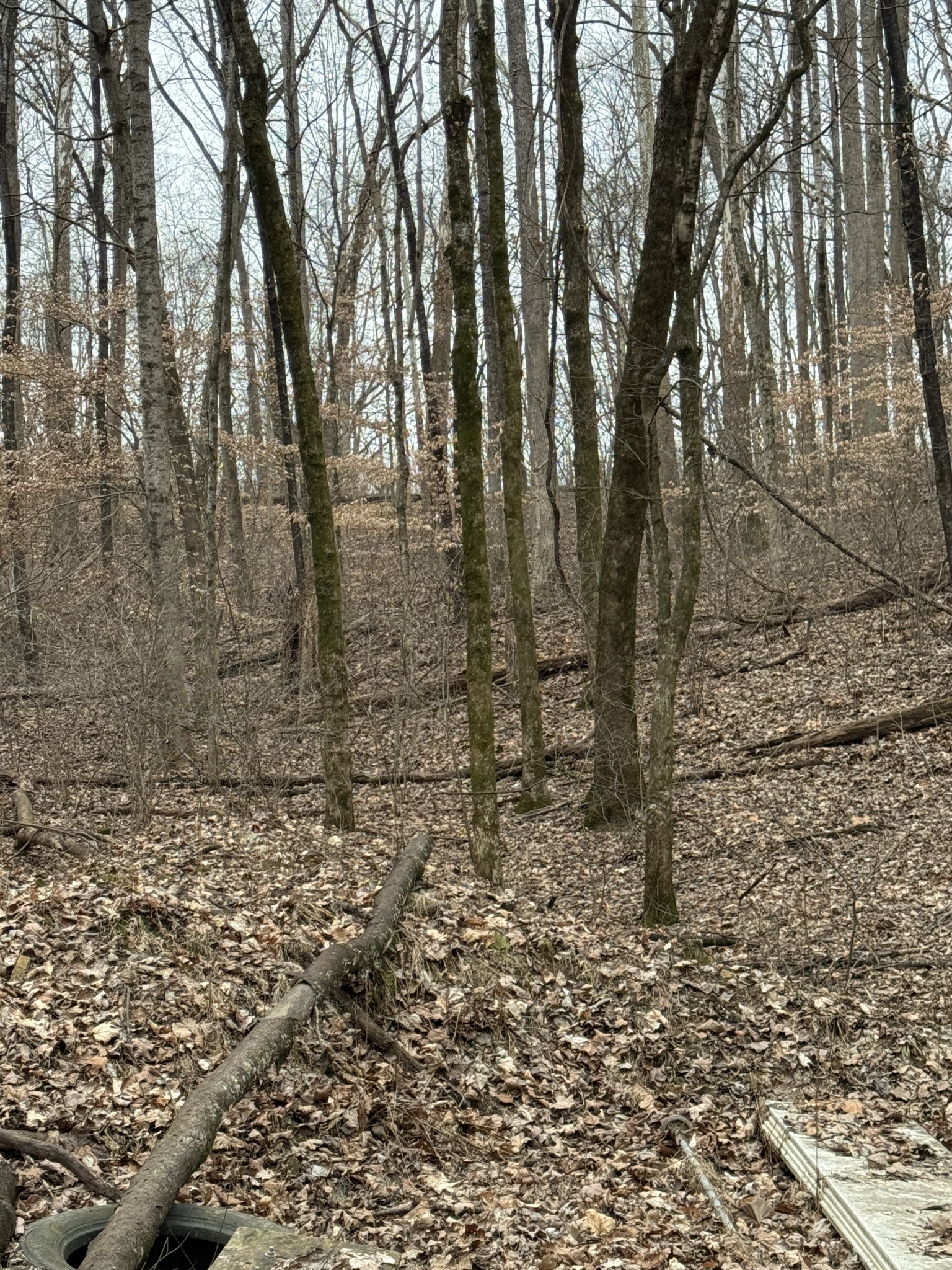 1843D Garrison Branch Rd