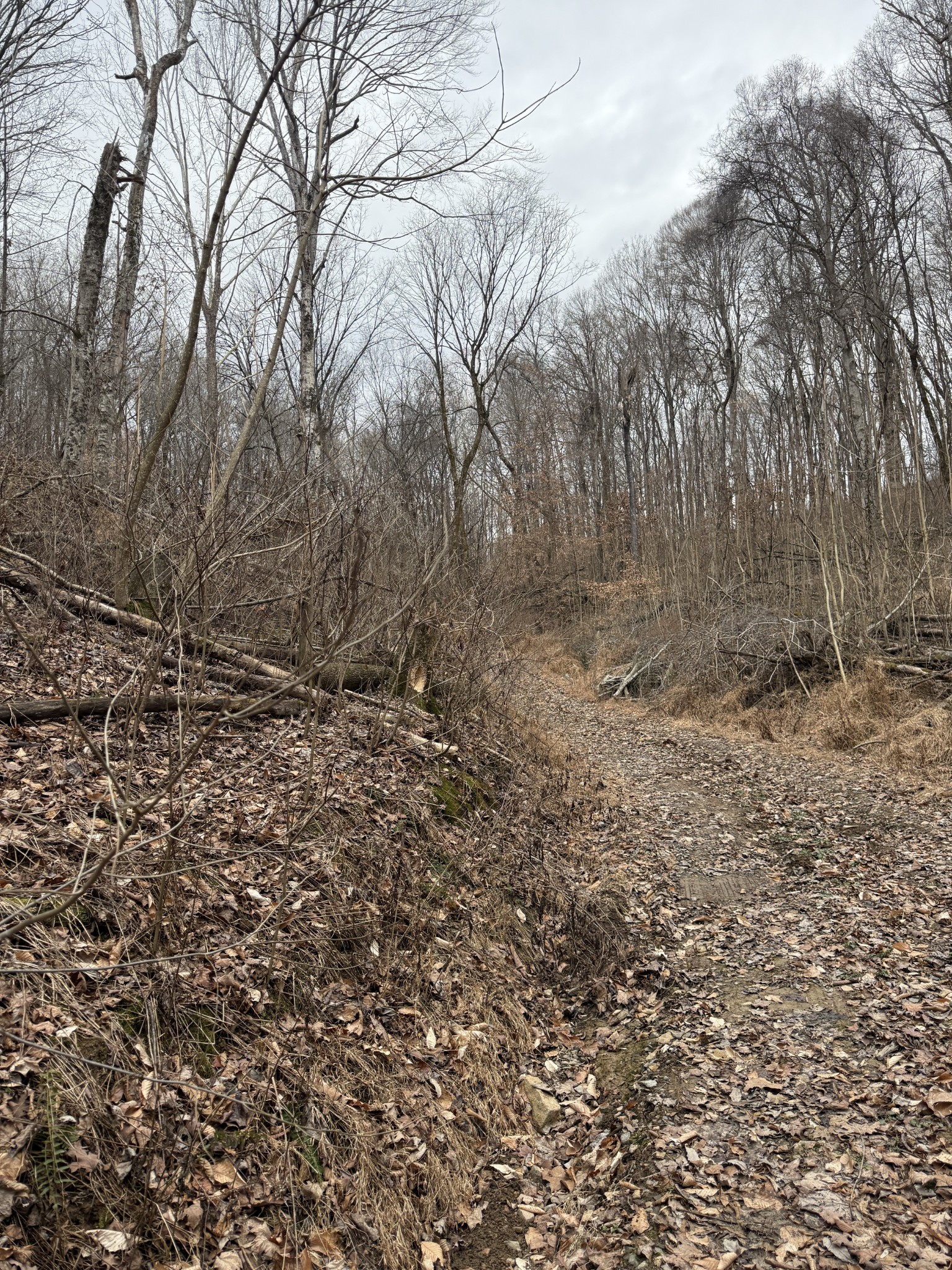 1843D Garrison Branch Rd