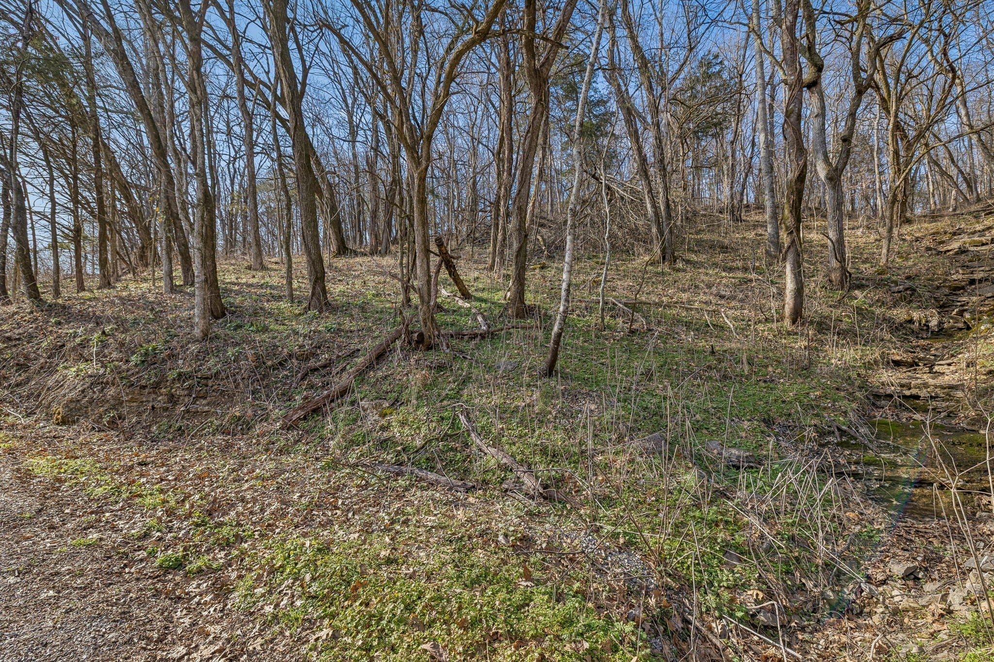 0 Dyer Branch Road