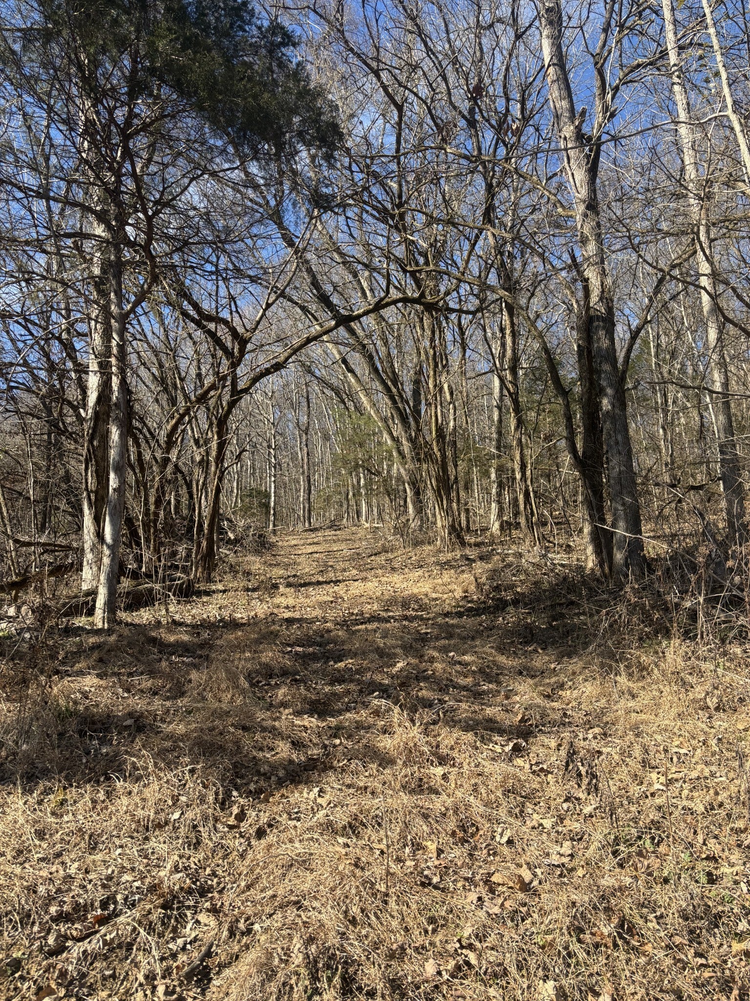 0 Dyer Branch Road