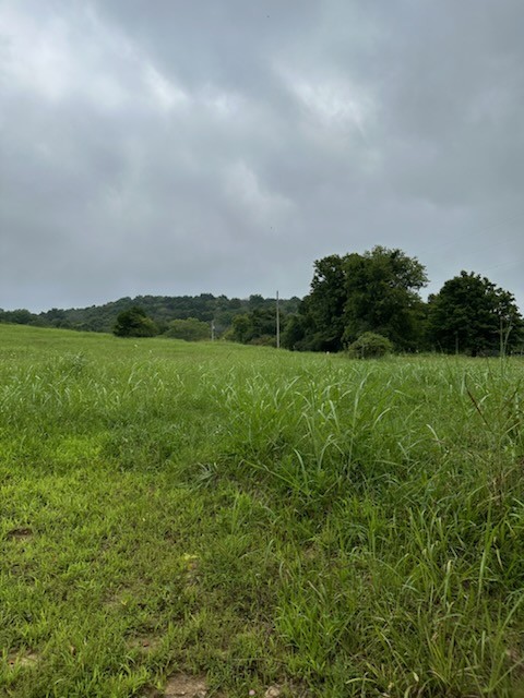 772 Rock Bridge Rd