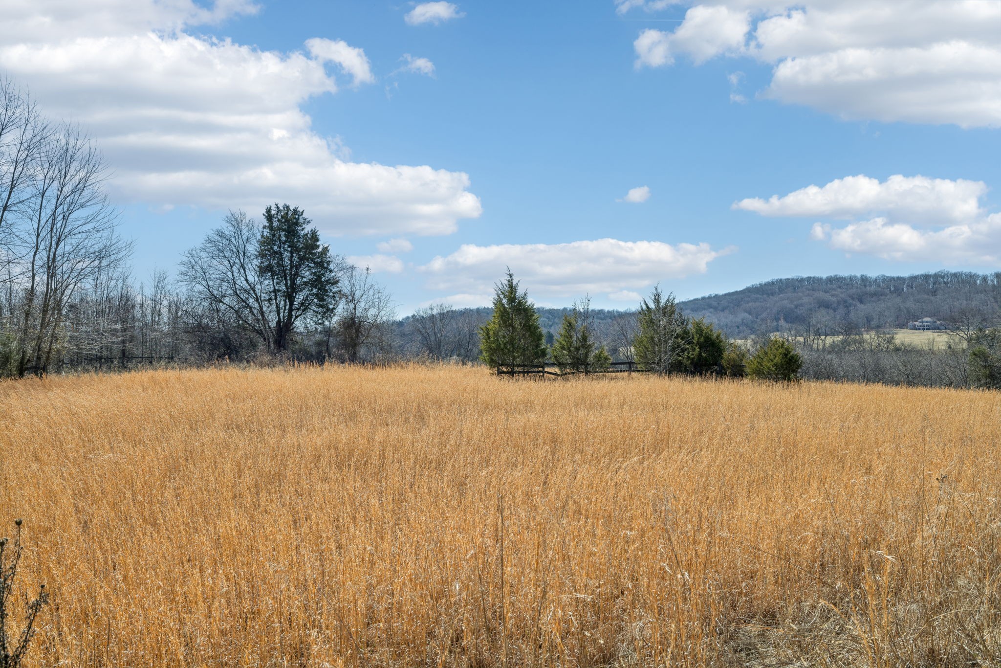 Middle Tennessee Properties 1 8001 Palmore Hollow Pvt Ln