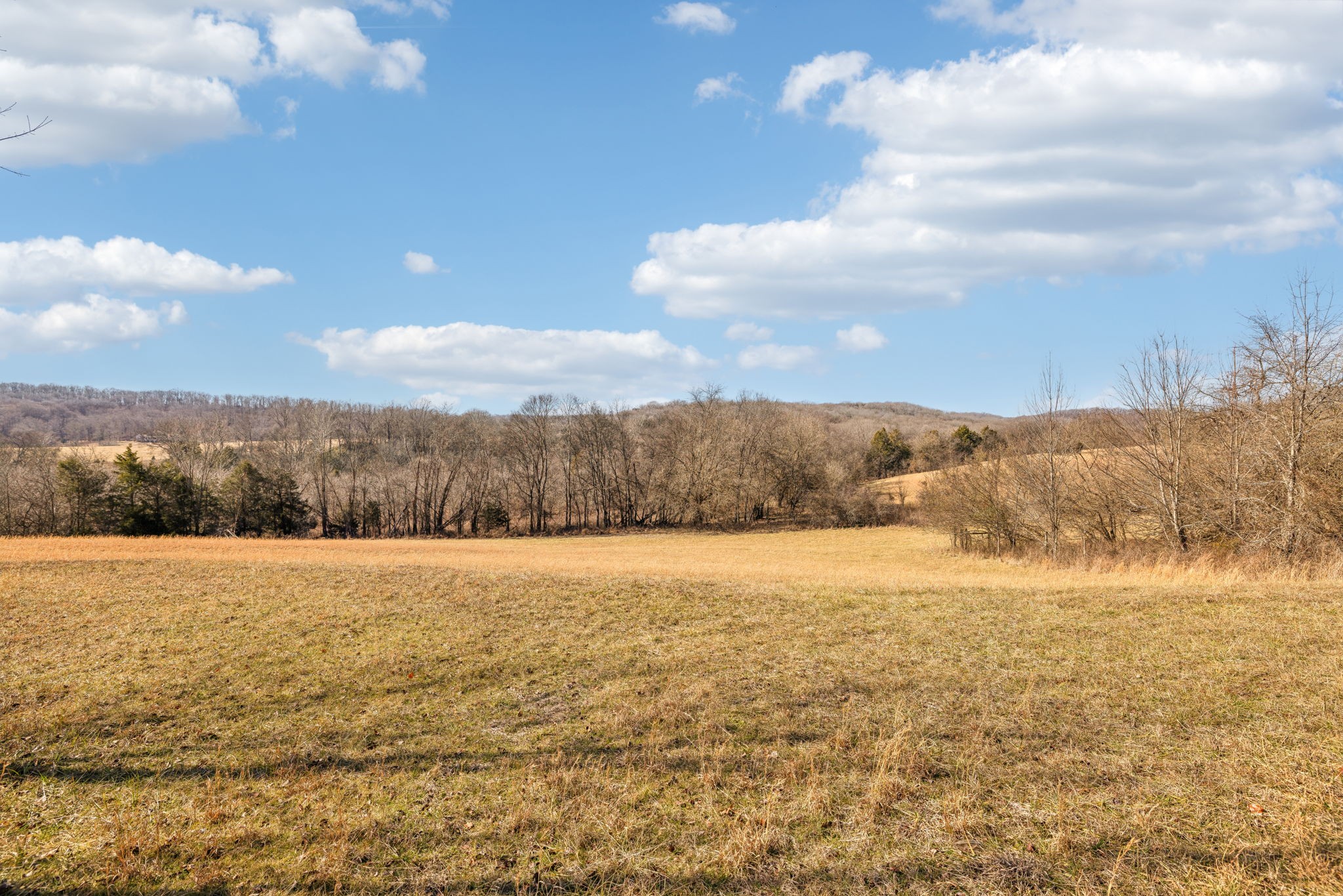 Middle Tennessee Properties 2 8001 Palmore Hollow Pvt Ln