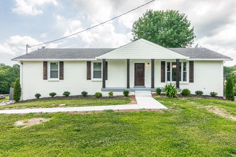 Photo of 196 Roberta Dr, Hendersonville, TN 37075 (MLS # 3163858)