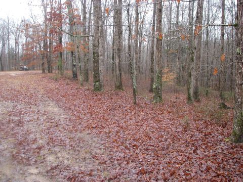 0 Three Rivers Drive Hurricane Mills TN 37078