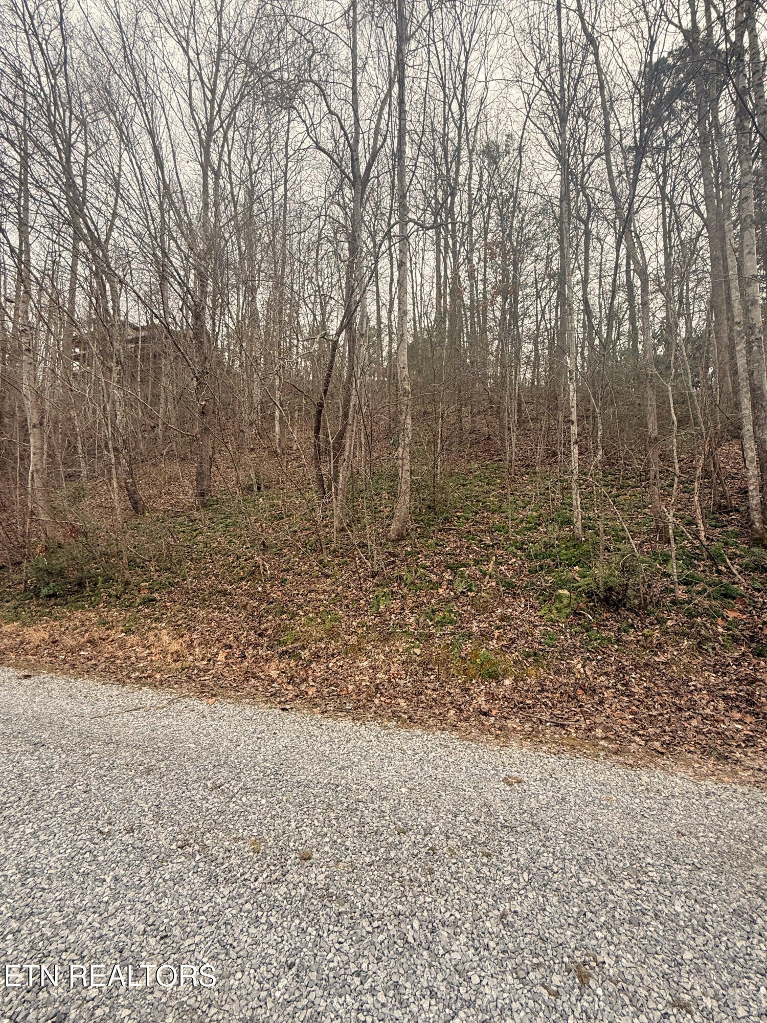 0 Lakeview Drive