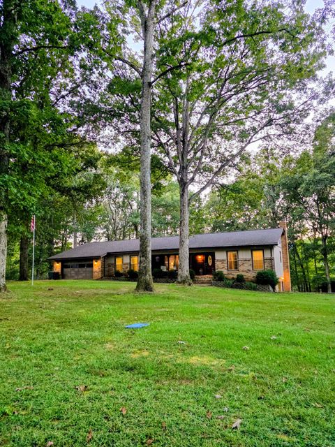 Photo of 4552 Elkins Dr, Centerville, TN 37033 (MLS # 2998261)
