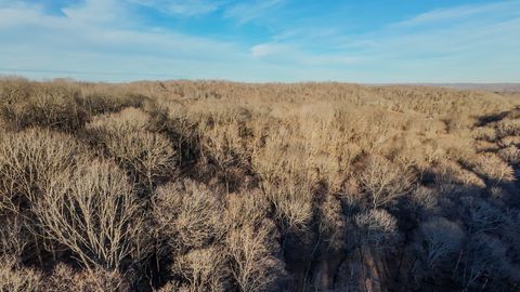 1843D Garrison Branch Rd Cottontown TN 37048