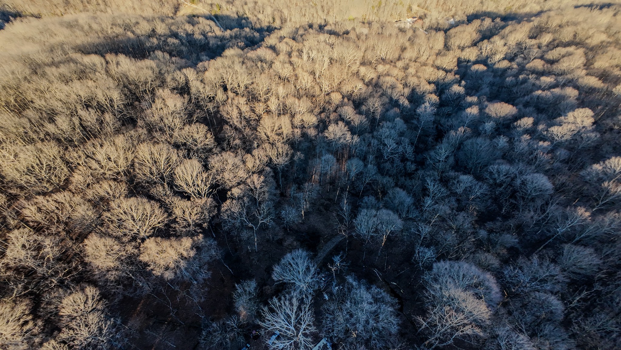 1843D Garrison Branch Rd