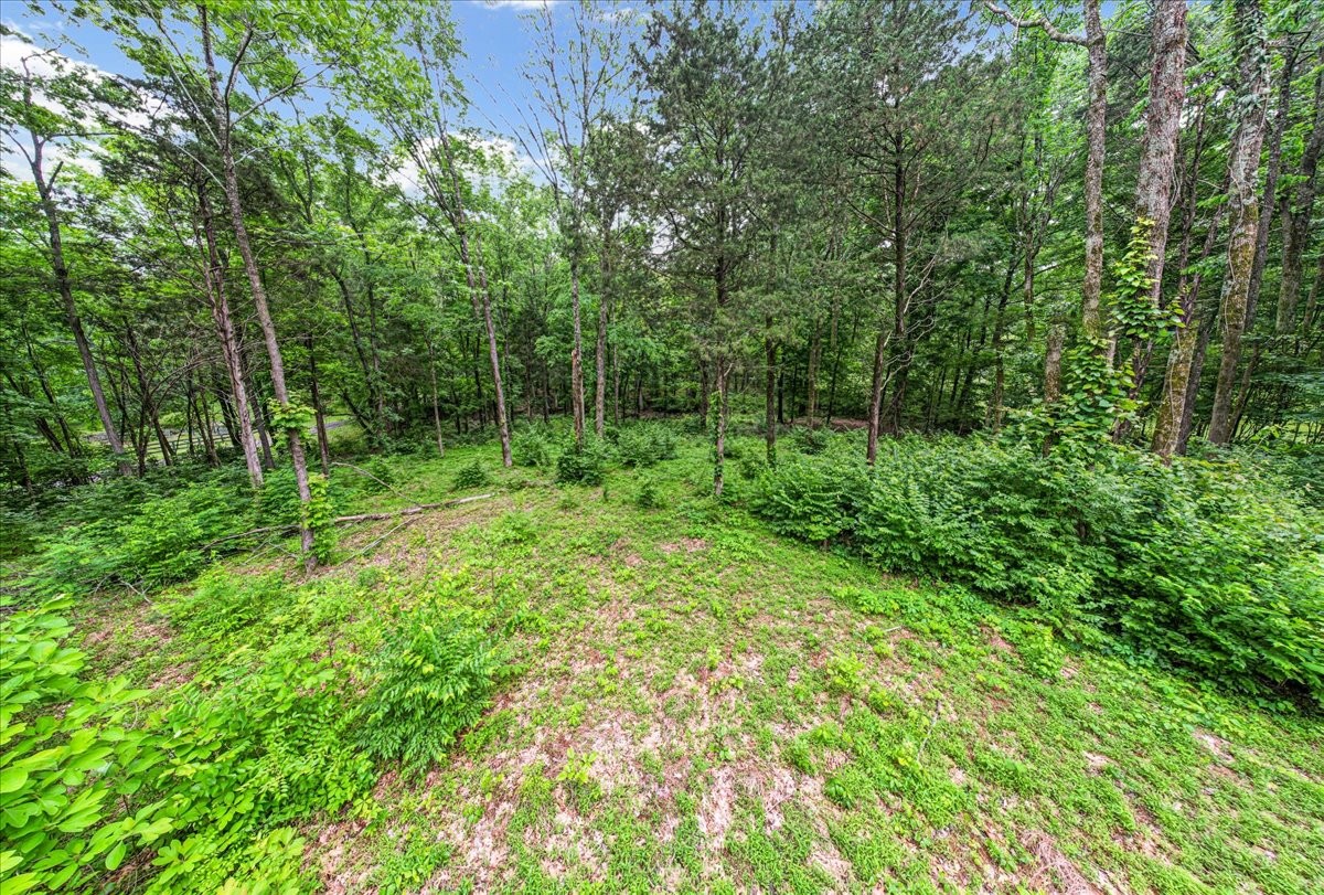 0 Cane Ridge Rd
