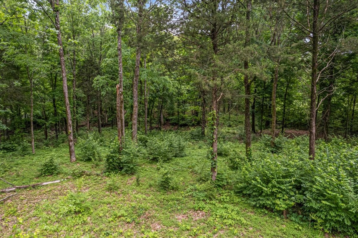 0 Cane Ridge Rd