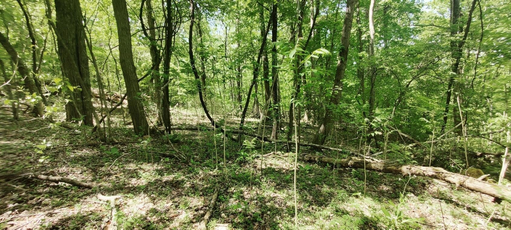 0 Coburntown (Lot 13) Road