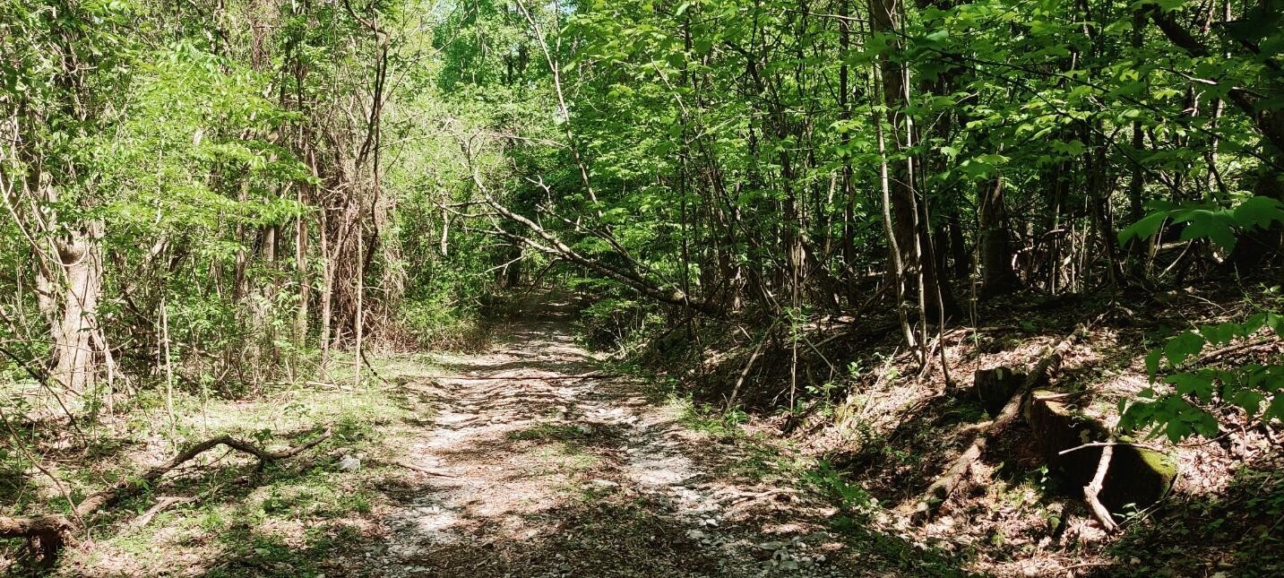 0 Coburntown (Lot 13) Road