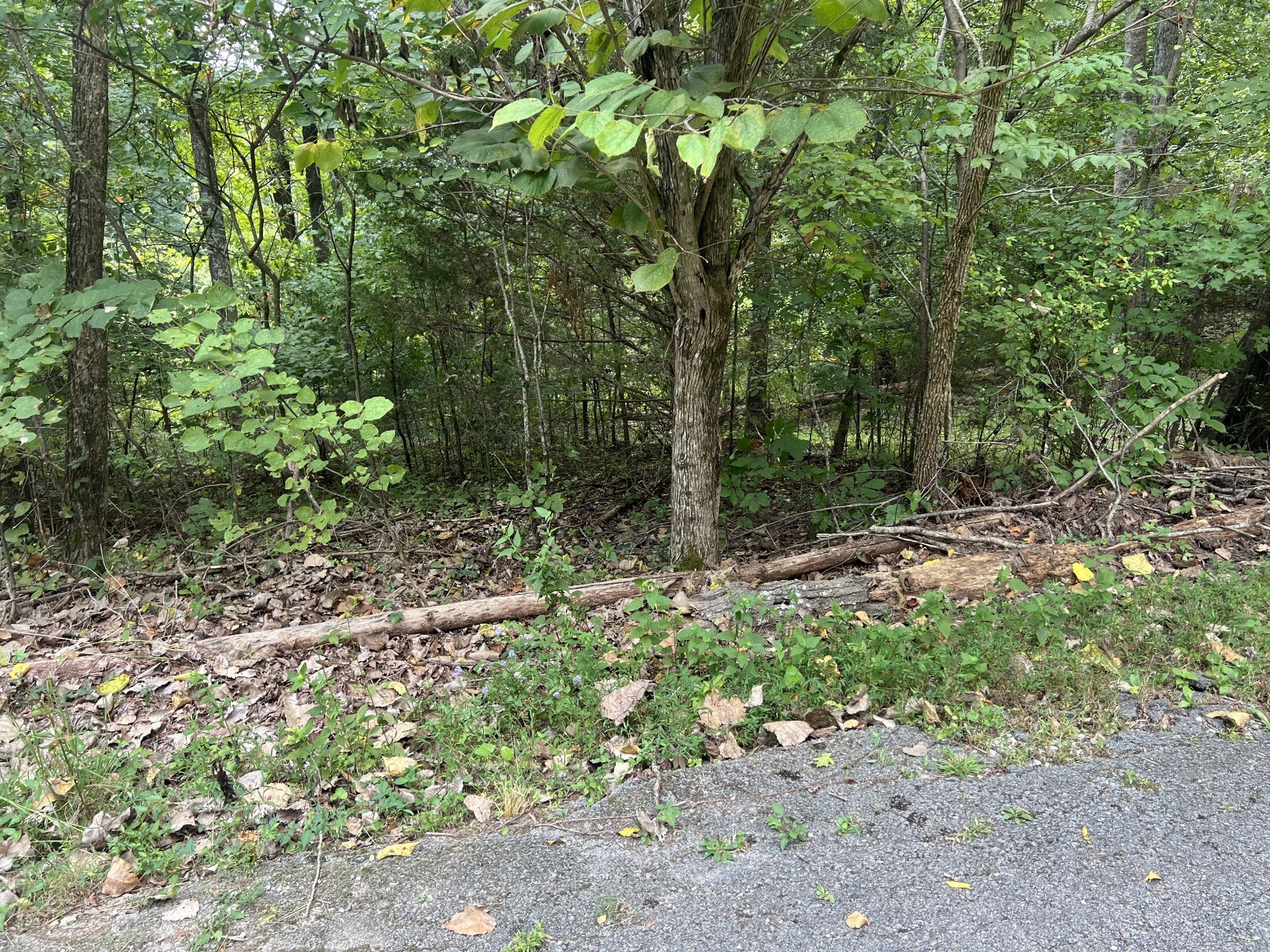 142 Hidden Hollow Rd