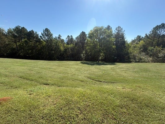 193 HIWASSEE TRAILS DR, DELANO, TN 37325 - Image cfe3b20fd5ed8f2810d385bdd09f8a4d/1447890996
