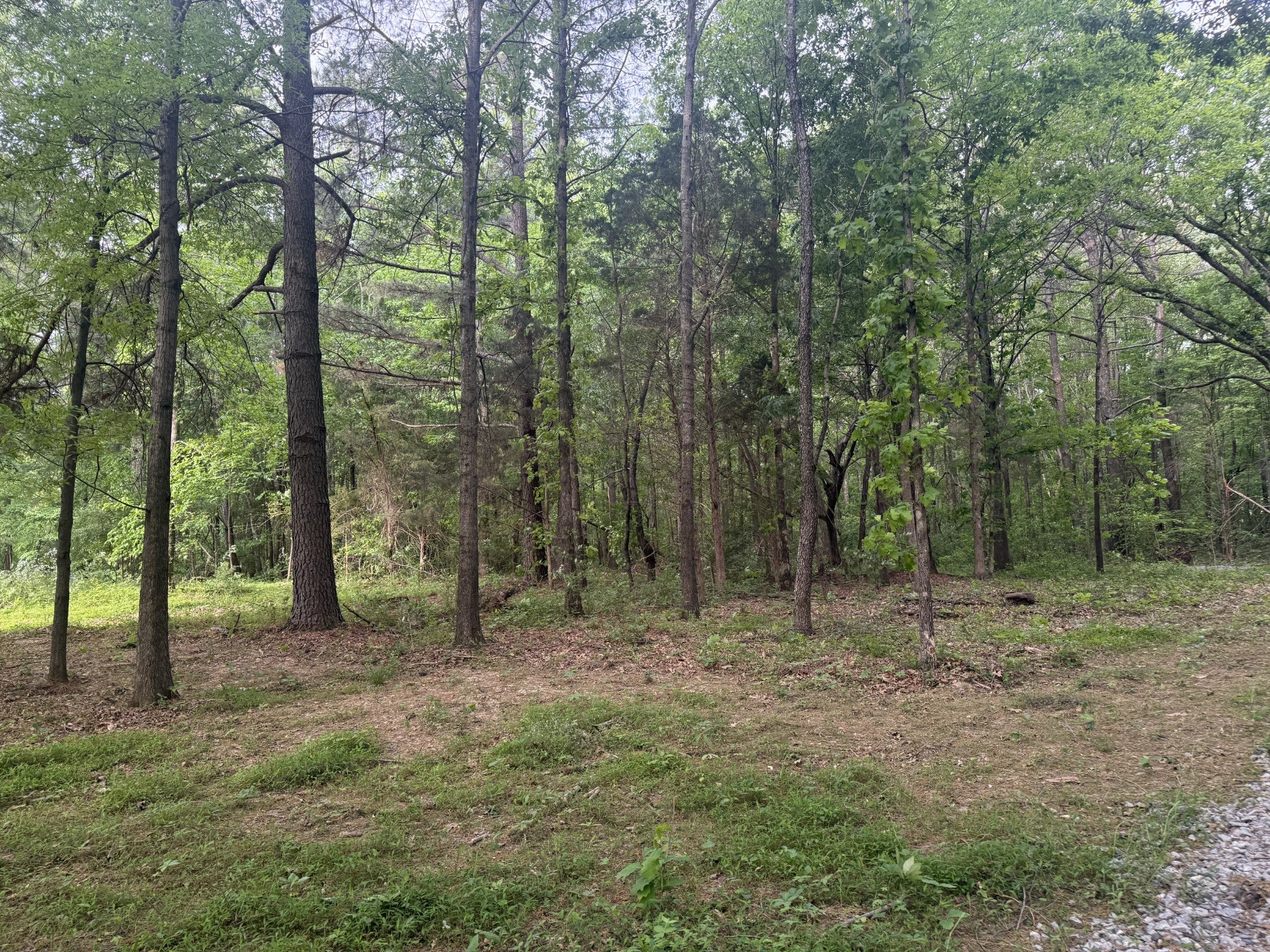 326 Kaiser Rd