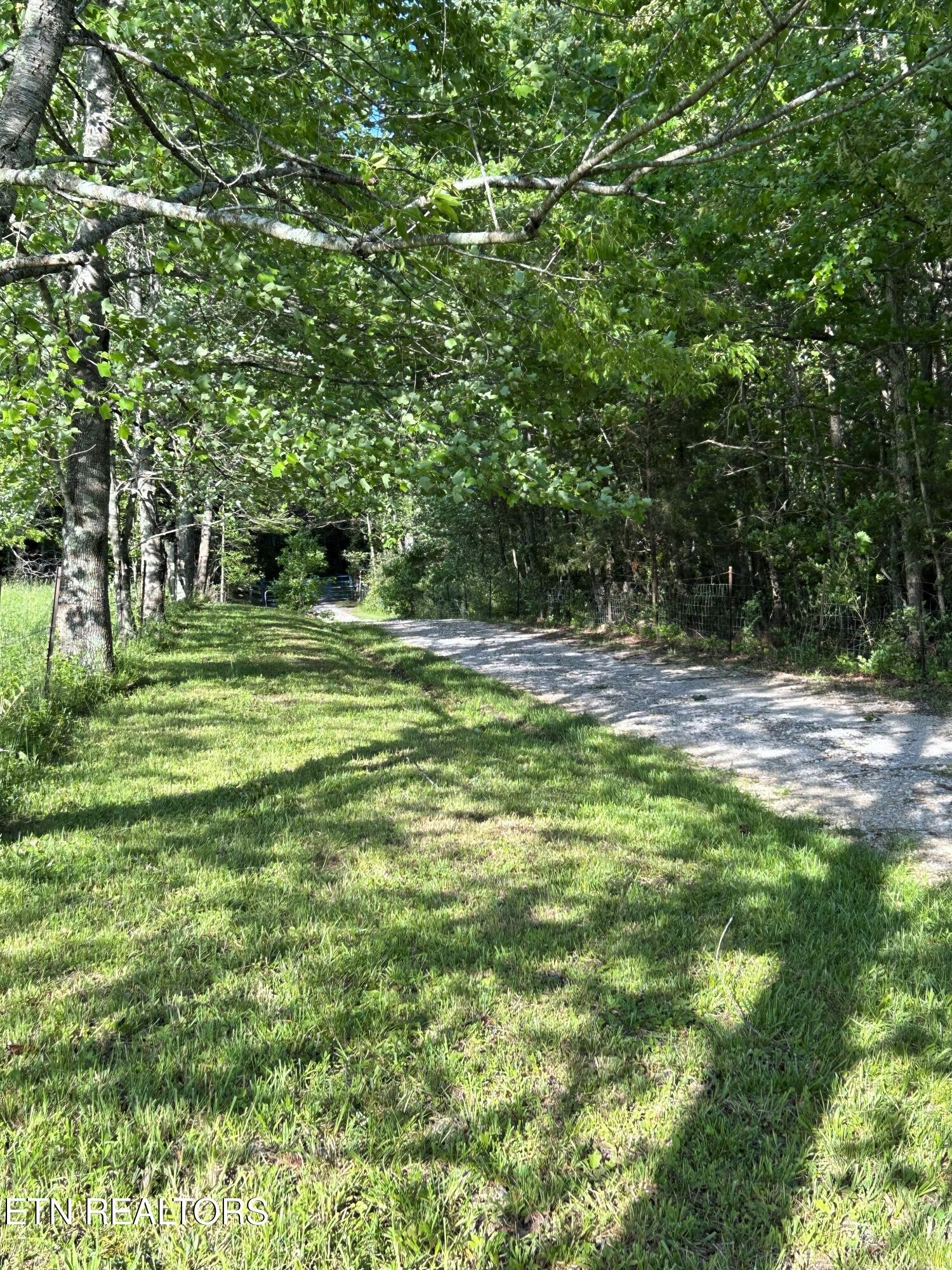 1038 Newton Lane, 89 Acres