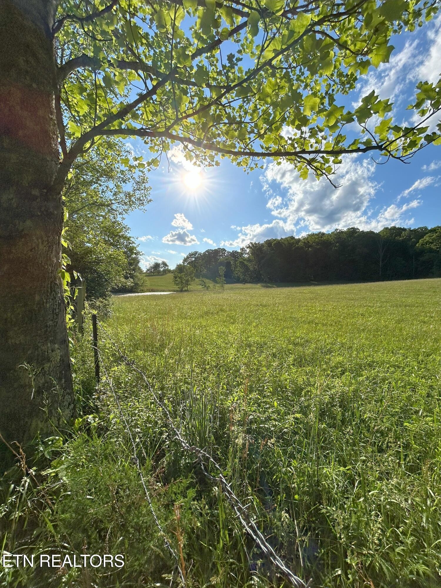 1038 Newton Lane, 89 Acres
