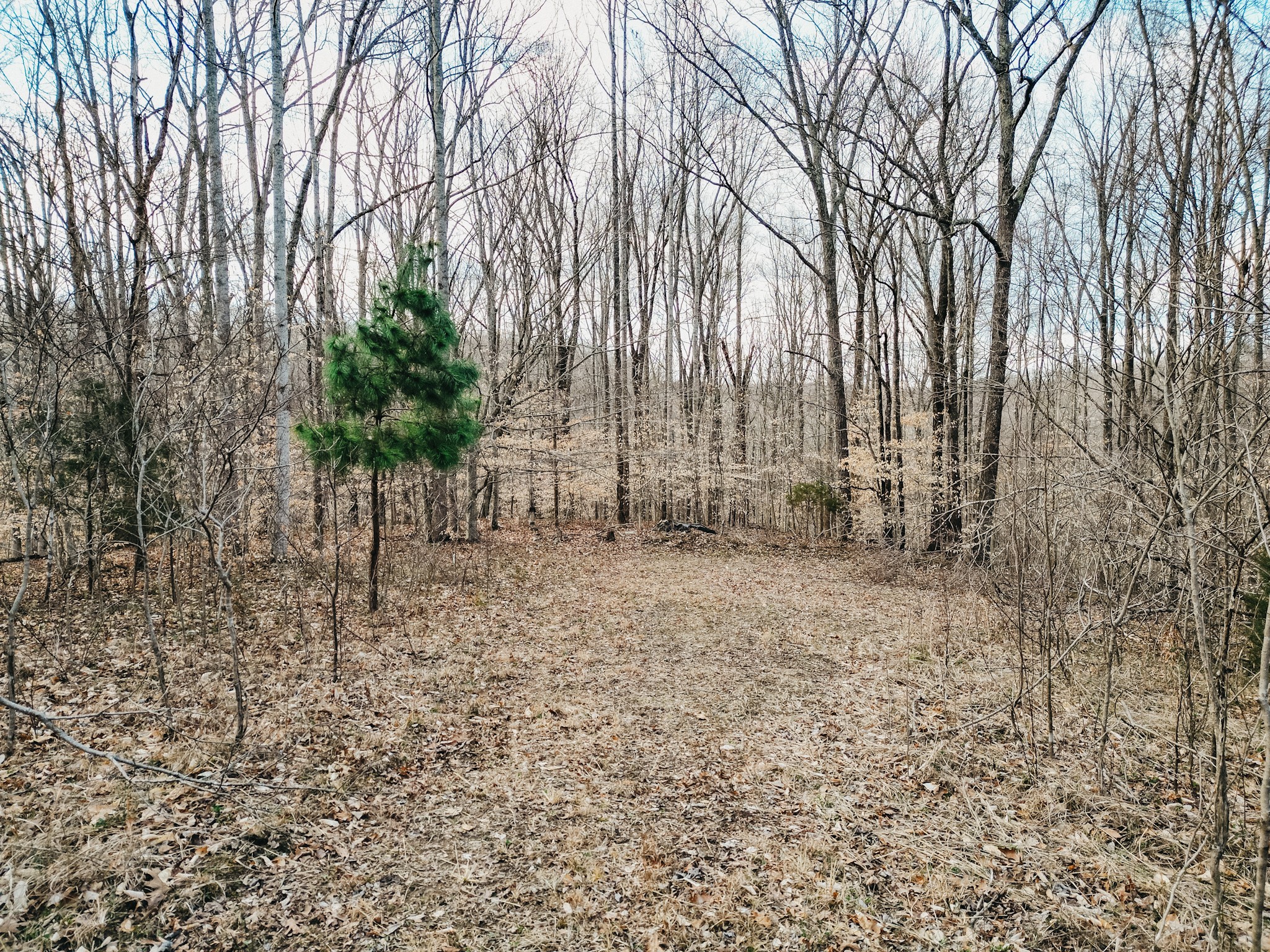 0 Parker Branch & Mt Laura Ln