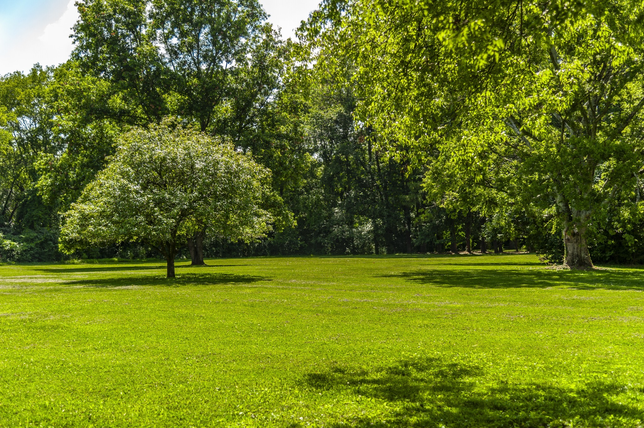 7723 Old Springfield Pike