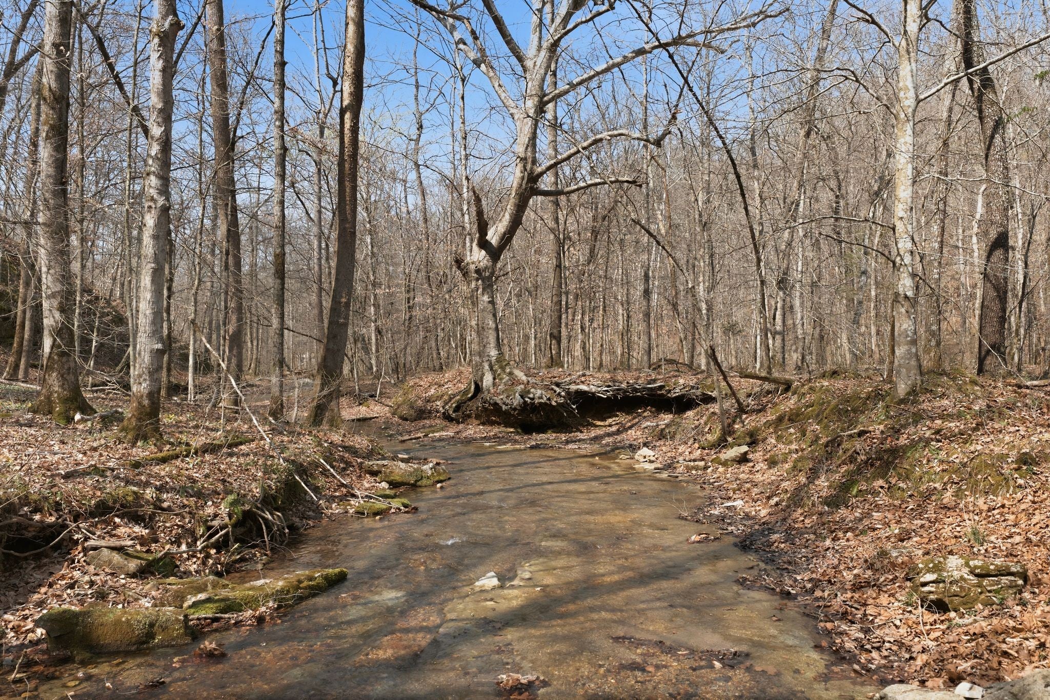 0 Cave Branch Road