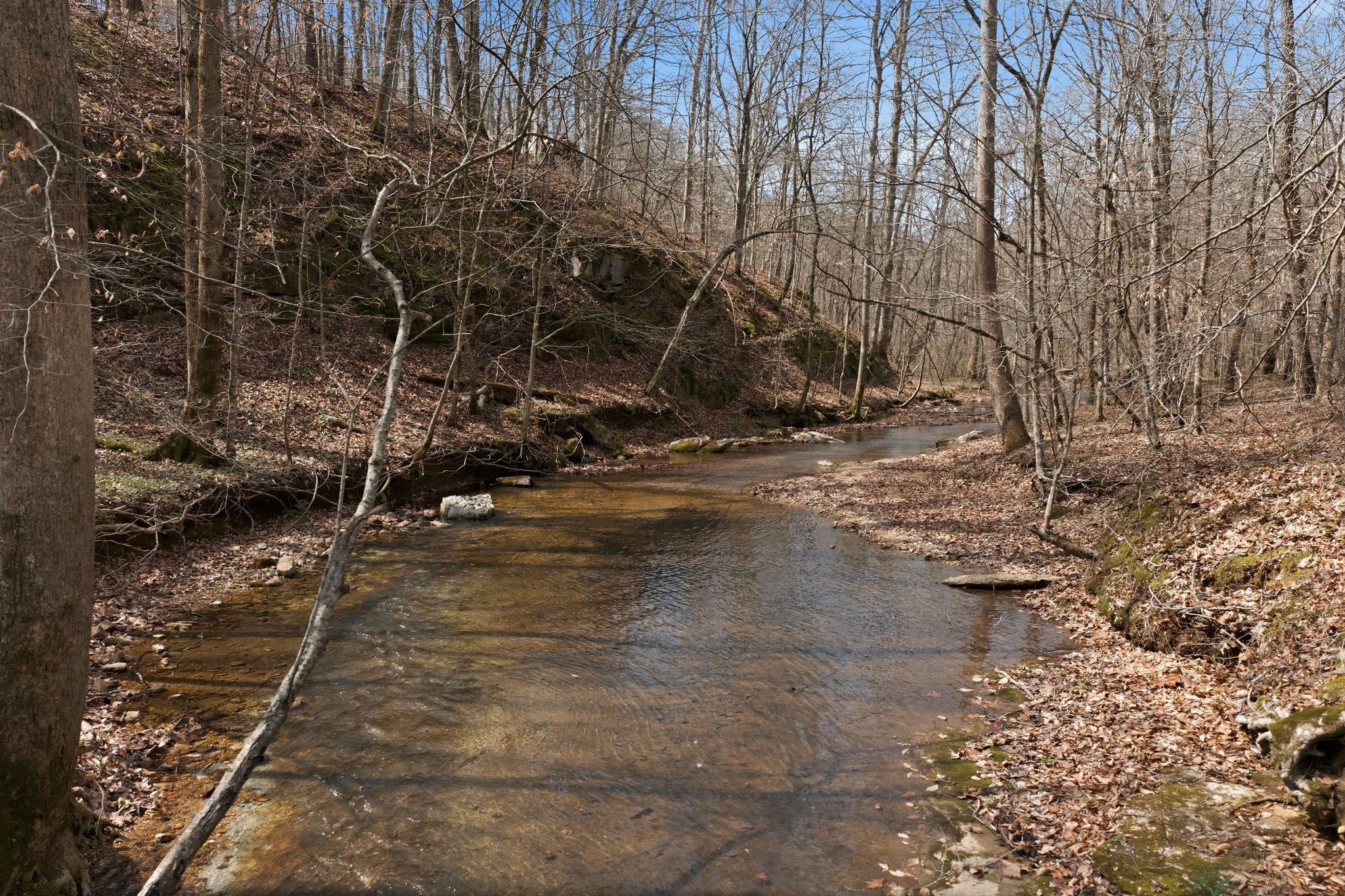 0 Cave Branch Road