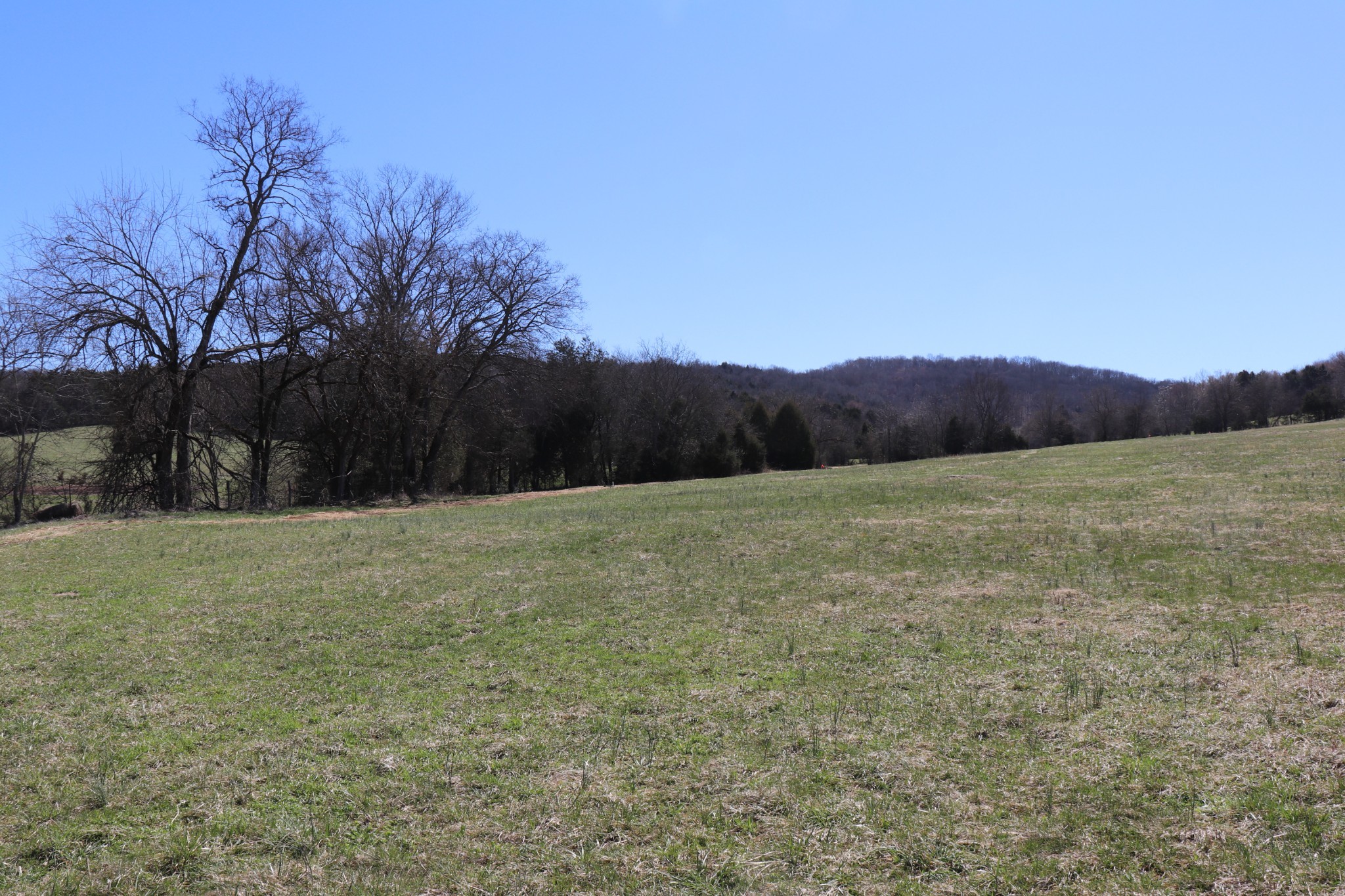 Photo 16 of 16 of 9 Finley Lane land