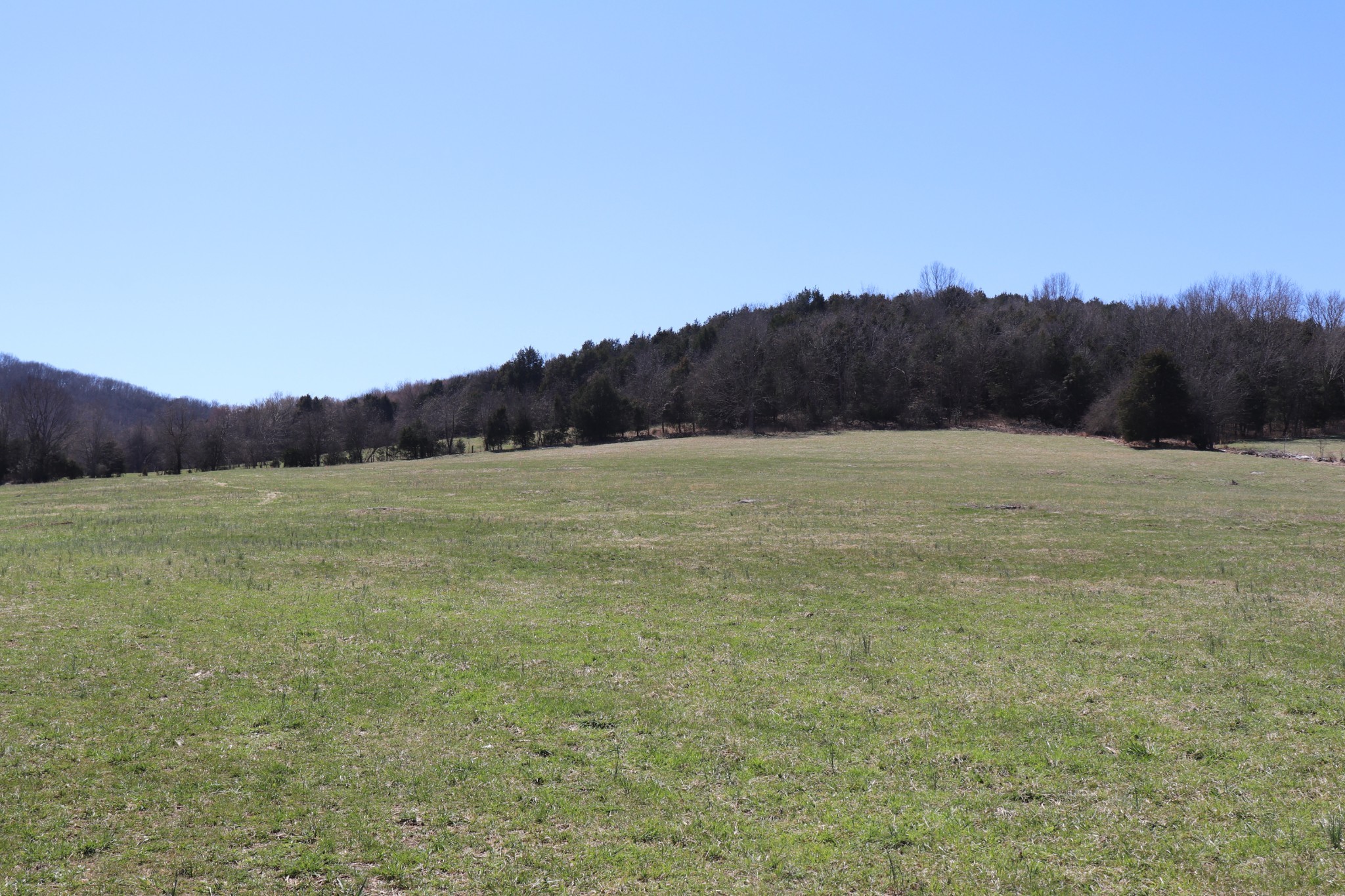 Photo 15 of 16 of 9 Finley Lane land