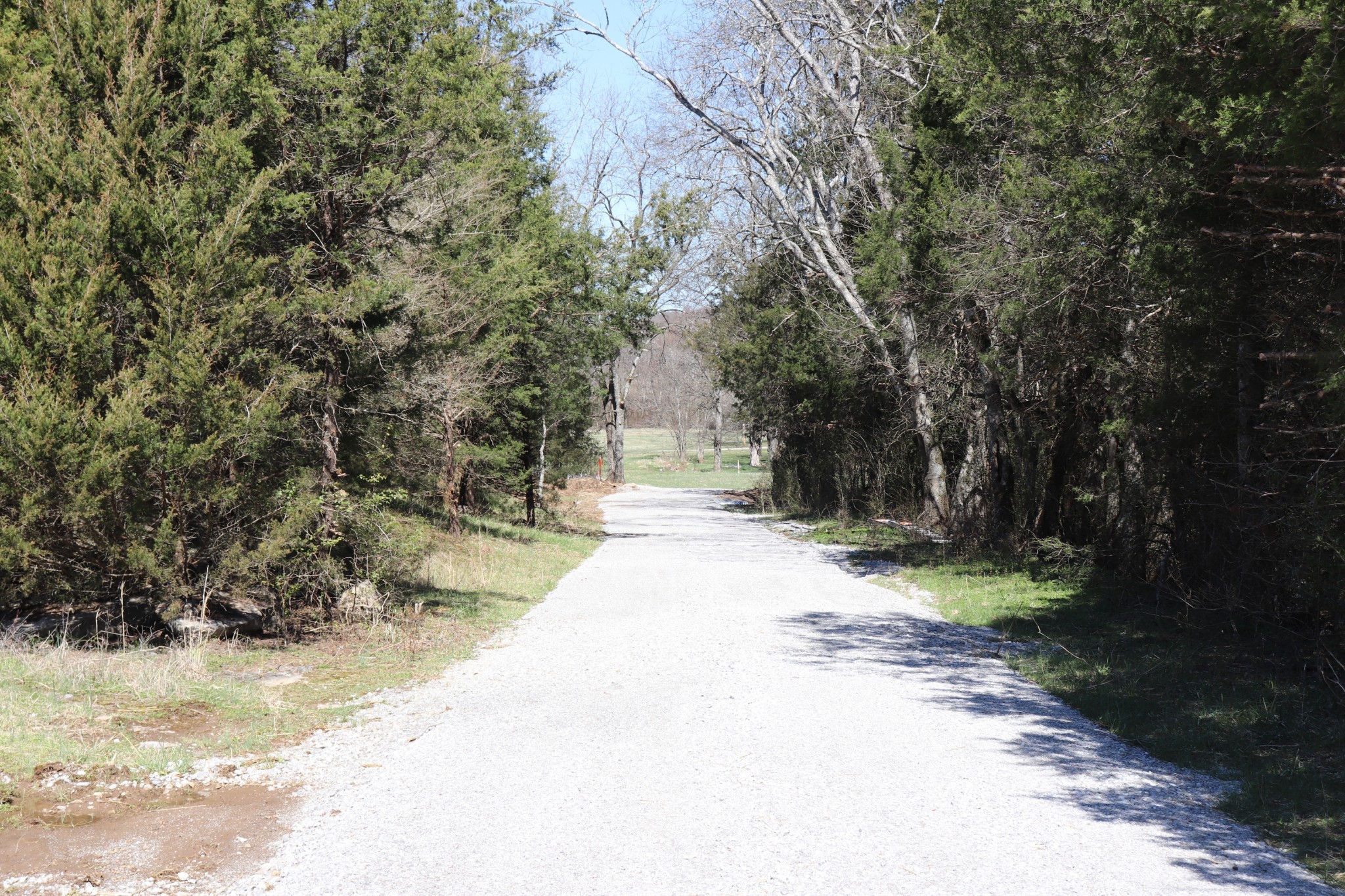 Photo 9 of 16 of 9 Finley Lane land