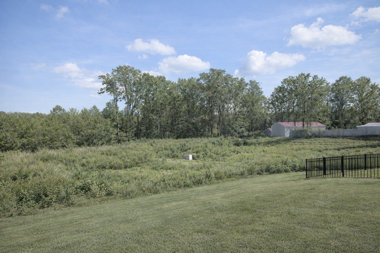 909 Wilkinson Ln