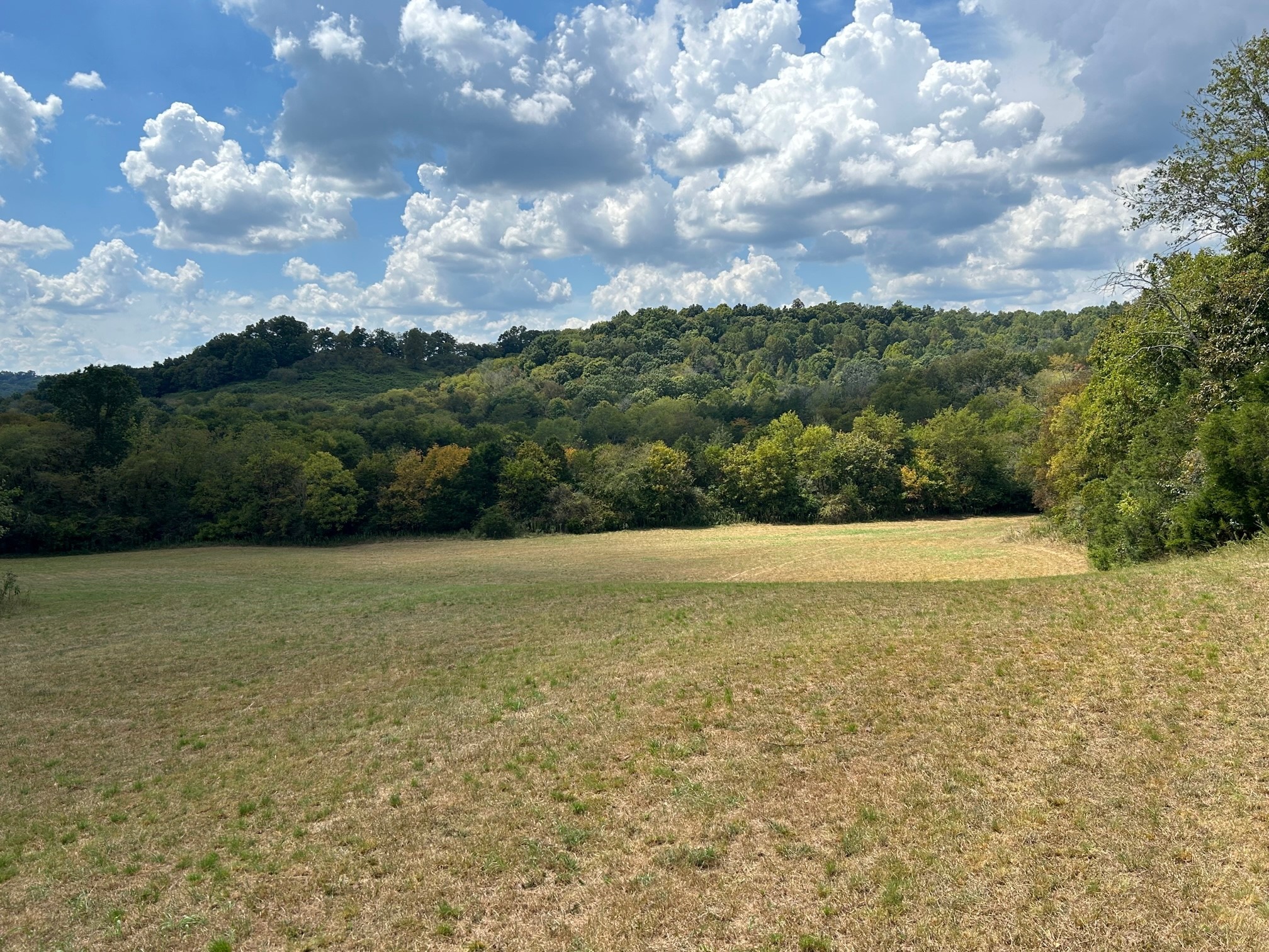 501 Tallent Road