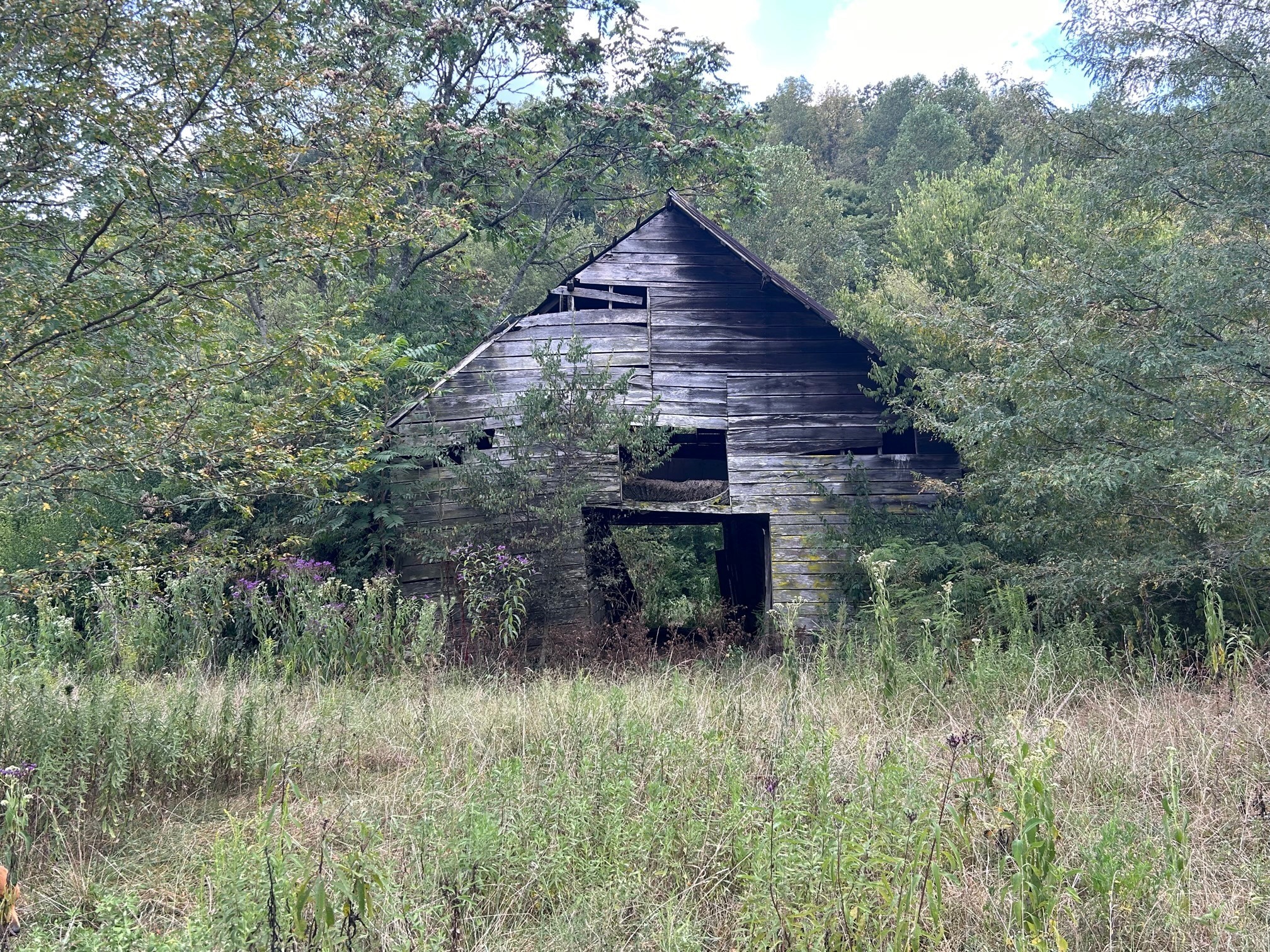 501 Tallent Road